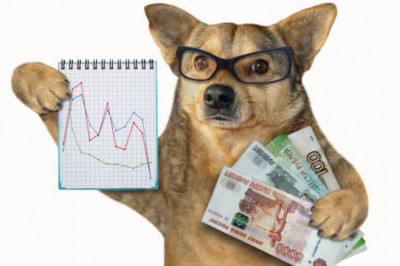 Rubeľ pokračuje v páde, od začiatku augusta oslabil o štvrtinu